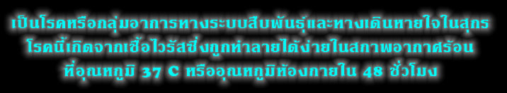 ӨӡѴͧ ä    