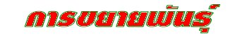 â¾ѹ