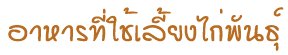 '÷§ѹ'
