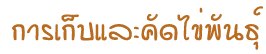 'ФѴѹ'