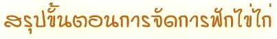 'ػ鹵͹èѴÿѡ'