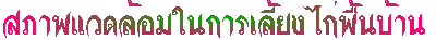 ҾǴ㹡§