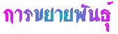 â¾ѹ