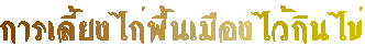 §Թ