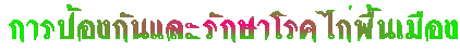 ûͧѹѡäͧ