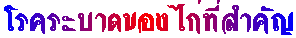 äкҴӤѭ