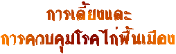 การเลี้ยงและควบคุมโรคไก่พื้นเมือง