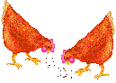 ไก่