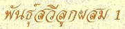 'ѹ١