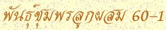 'ѹ١