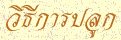 'Ըաû١'