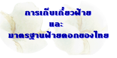 ǽҵðҹ´ͧ͡