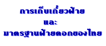 ǽҵðҹ´ͧ͡
