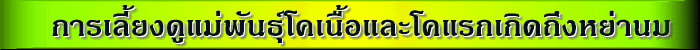 '§ѹáԴ֧ҹ'