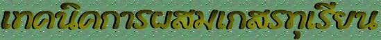 ෤Ԥü÷¹