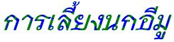 §