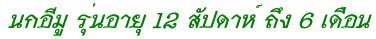  12 ѻ ֧ 6 ͹