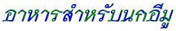 Ѻ
