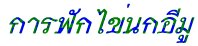 ÿѡ蹡