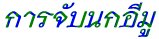 èѺ