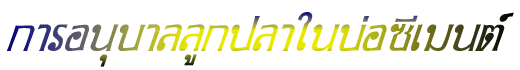 ͹غ١㹺ͫ