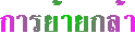 ¡