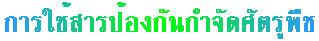 ûͧѹӨѴѵپת