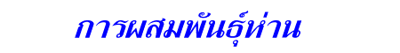 üѹ