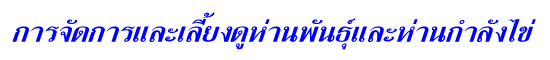 èѴС§ҹѹҹѧ