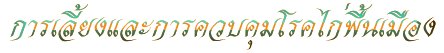 '§СäǺäͧ'