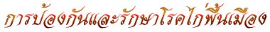 'การป้องกันและรักษาโรคไก่พื้นเมือง'