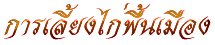 '§ͧ'