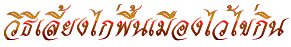 'Ը§ͧԹ'