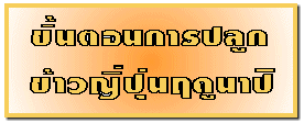 鹵͹û١ǭĴٹһ