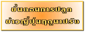 鹵͹û١ǭĴٹһѧ