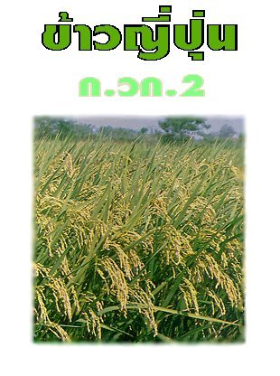 ǭ .ǡ.2