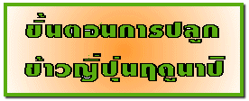 鹵͹û١ǭĴٹһ