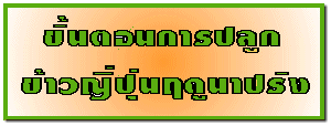 鹵͹û١ǭĴٹһѧ