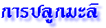 û١