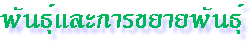 ѹСâ¾ѹ