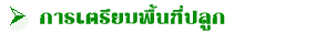 การเตรียมพื้นที่ปลูก