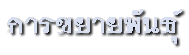 â¾ѹ