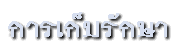 ѡ