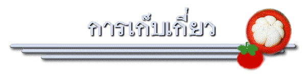 СûԺѵѧ