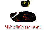 เมล็ดมะม่วง