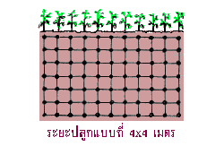 л١ 4x4