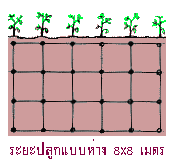 л١ 8x8