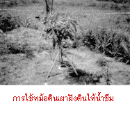 Ẻӫ