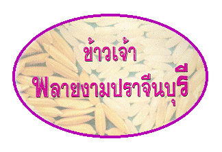 Ҿ§Ҩչ