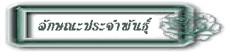 ѡɳлШӾѹ